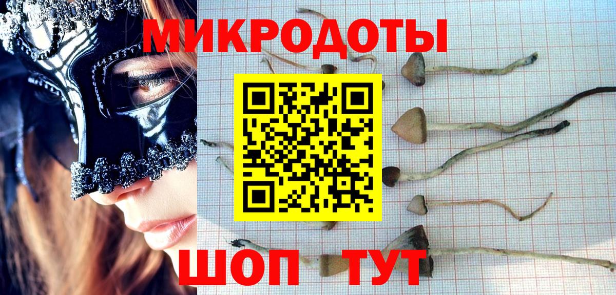 Псилоцибиновые грибы прущие грибы  Вход с VPN  Ахтубинск 