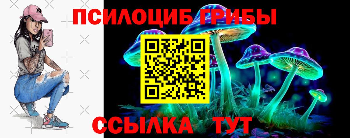 Псилоцибиновые грибы ЛСД Ахтубинск